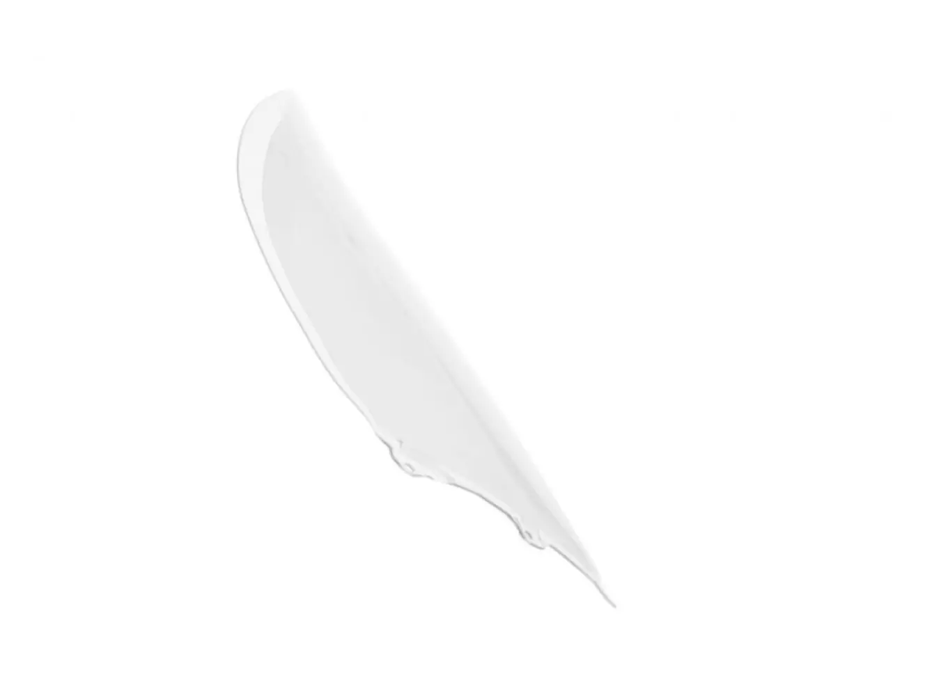 WRS - WINDSCREEN CAPONORD K1200S/K13 - 23121433