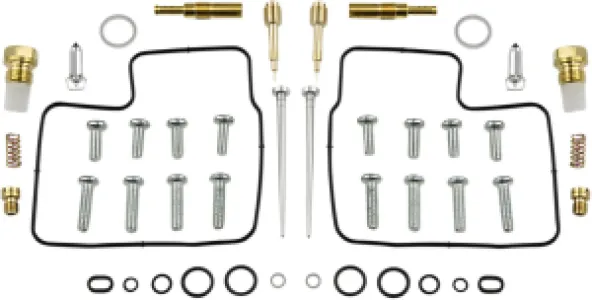 PARTS UNLIMITED - CARB KIT HONDA VT1100C2 - 10031312