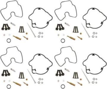 PARTS UNLIMITED - CARB KIT HONDA CBR1100XX - 10031329