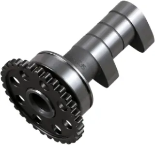 HOT CAMS - CAMSHAFT - 09251199