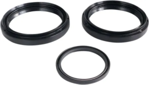 EPI - DIFFERENTIAL SEAL KIT RR - 12050371