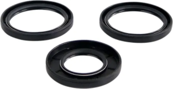 EPI - DIFFERENTIAL SEAL KIT FR - 12050376