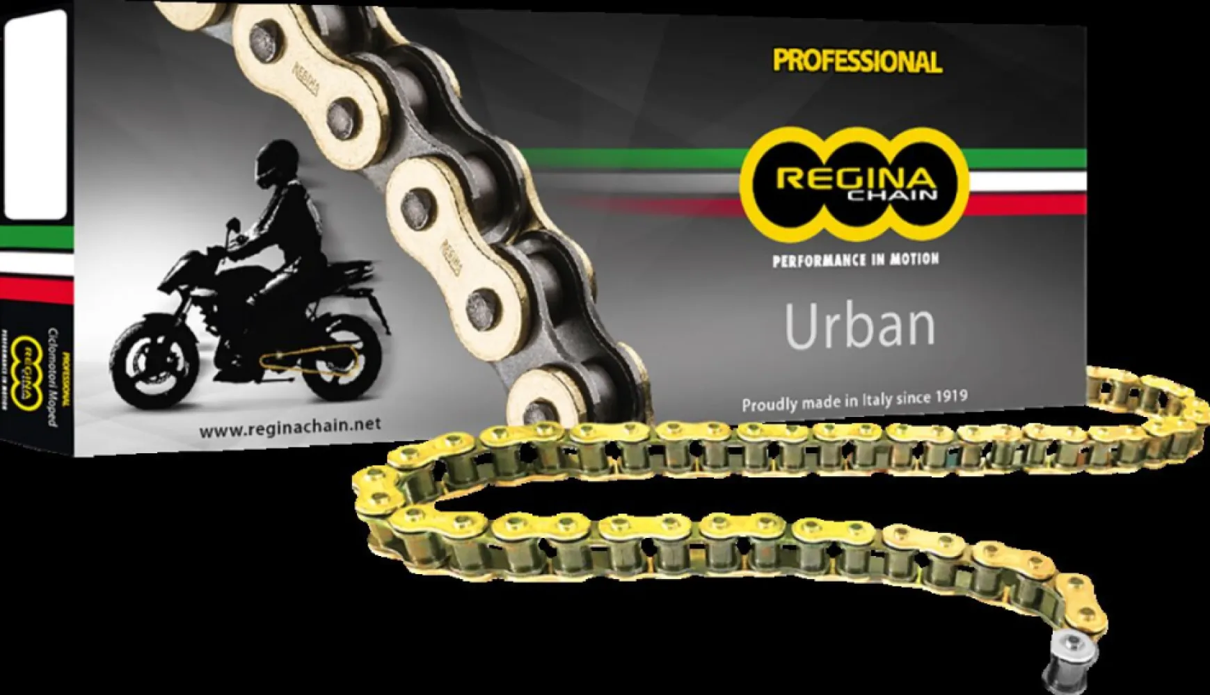 REGINA - CHAIN 420OROY GB 100C - 12200090