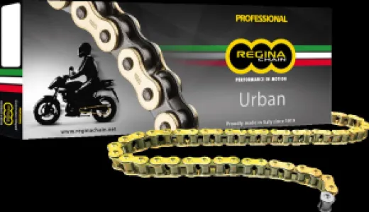 REGINA - CHAIN 420OROY GB 100C - 12200090