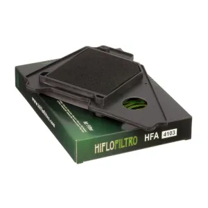 HIFLOFILTRO - AIR FILTER YBR125 4T - 10113267