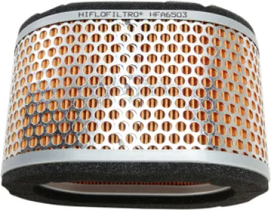 HIFLOFILTRO - AIR FILTER TRIUMPH - 10113847