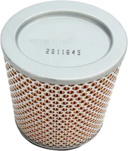 HIFLOFILTRO - AIR FILTER TRIUMPH - 10113848