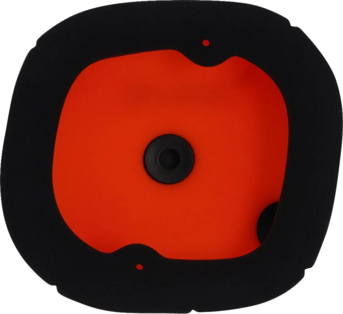 TWIN AIR - AIR FILTER TRIUMPH - 10114793