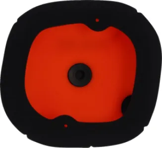TWIN AIR - AIR FILTER TRIUMPH - 10114793