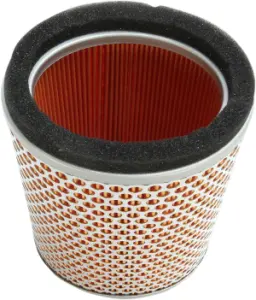 HIFLOFILTRO - AIR FILTER TRIUMPH - 10113848