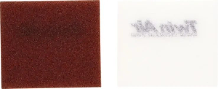 TWIN AIR - AIR FILTER CRF300L - 10114897