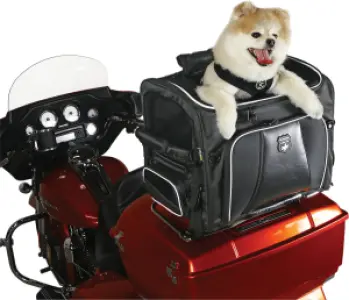 NELSON RIGG - PET CARRIER ROUTE 1 ROVER - 35150214