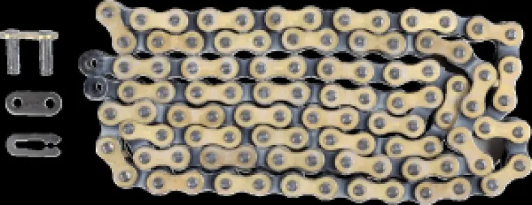 REGINA - CHAIN 420OROY GB 100C - 12200090