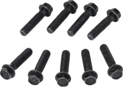 MOOSE OFFROAD FOUR WHEEL - CLUTCH CVR SCREWS POL - 11321612