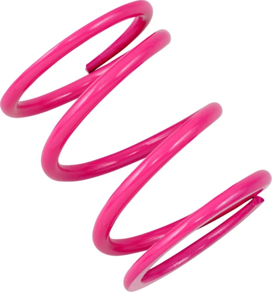 EPI - SPRING CLUTCH PRIMARY POL - 11400033