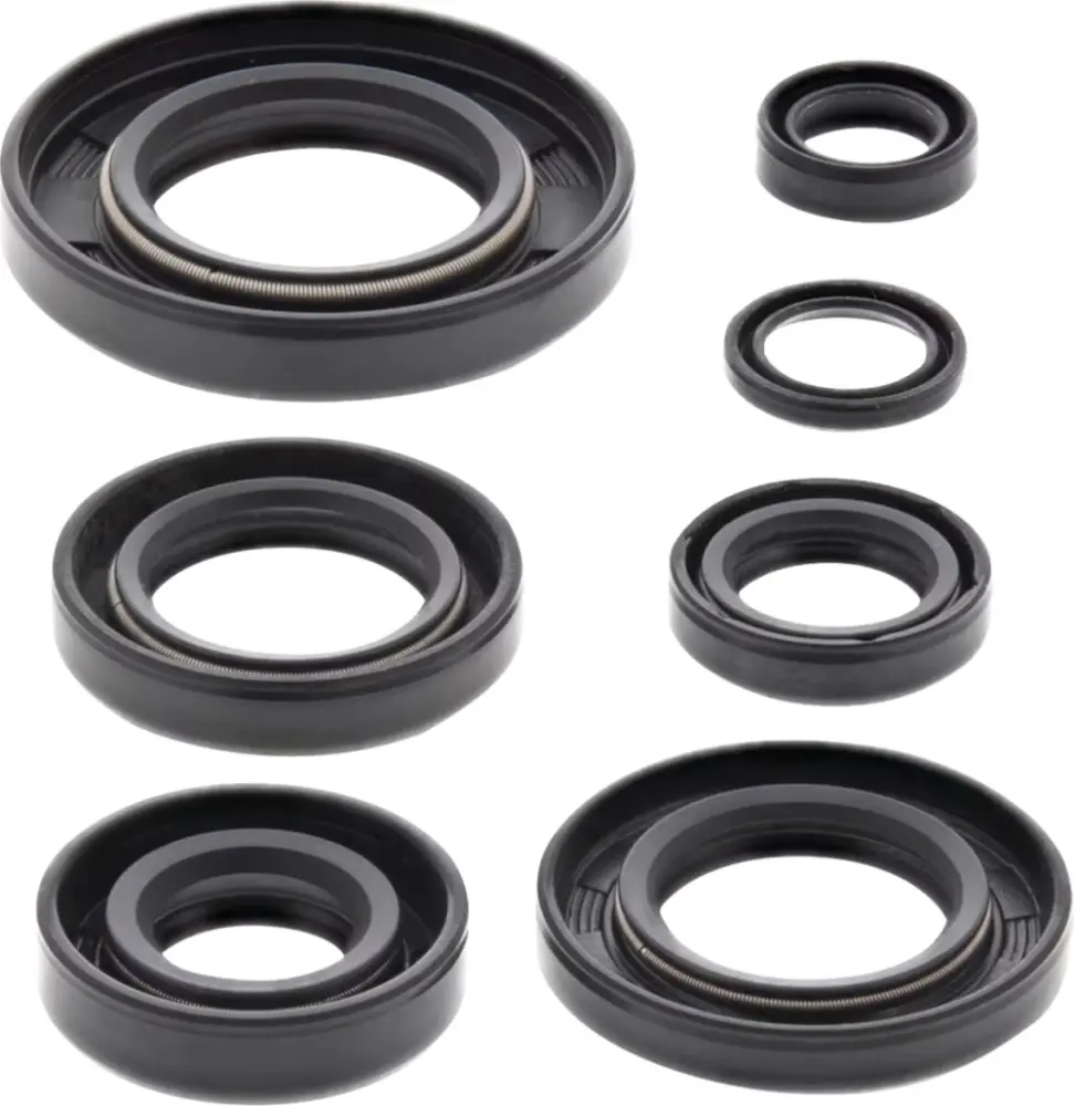 MOOSE OFFROAD HARD-PARTS - Oil Seal Kit - 09351311