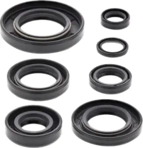 MOOSE OFFROAD HARD-PARTS - Oil Seal Kit - 09351311
