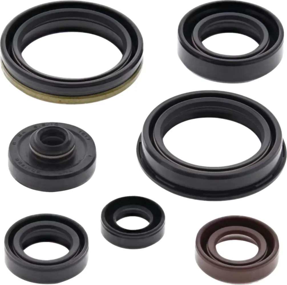 MOOSE OFFROAD HARD-PARTS - Oil Seal Kit - 09351316