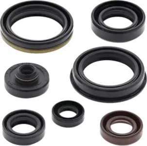 MOOSE OFFROAD HARD-PARTS - Oil Seal Kit - 09351316