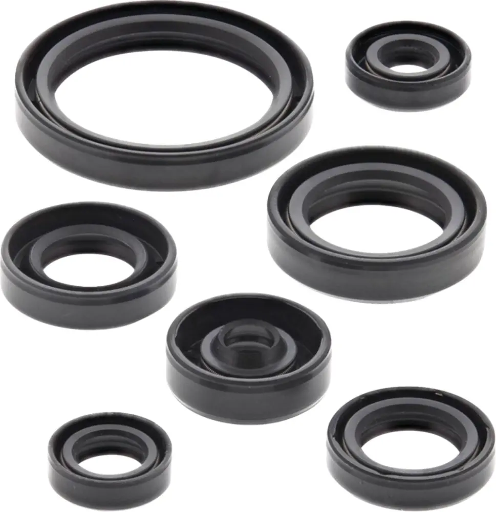 MOOSE OFFROAD HARD-PARTS - Oil Seal Kit - 09351318