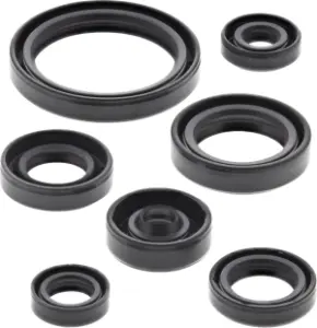 MOOSE OFFROAD HARD-PARTS - Oil Seal Kit - 09351318