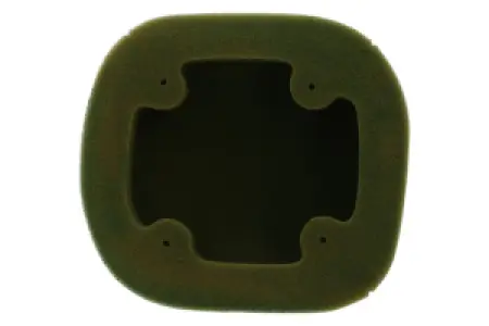 TWIN AIR - AIR FILTER PO XX125-250 '23-24 - 10114975