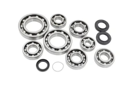 EPI - DIF BEARING & SEAL KIT REAR - 12050433
