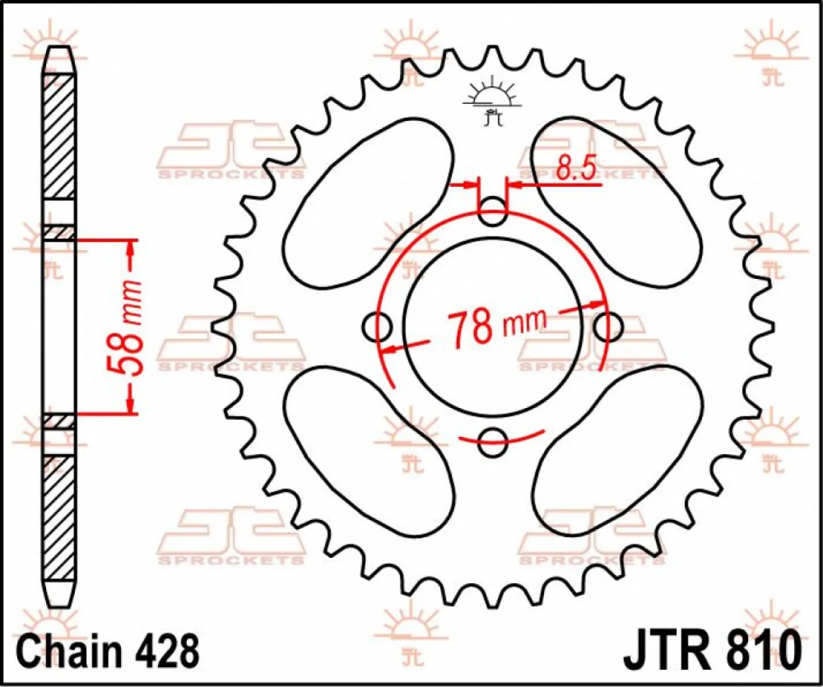 JT SPROCKETS - SPROCKET REAR 48T 428 - 12100473