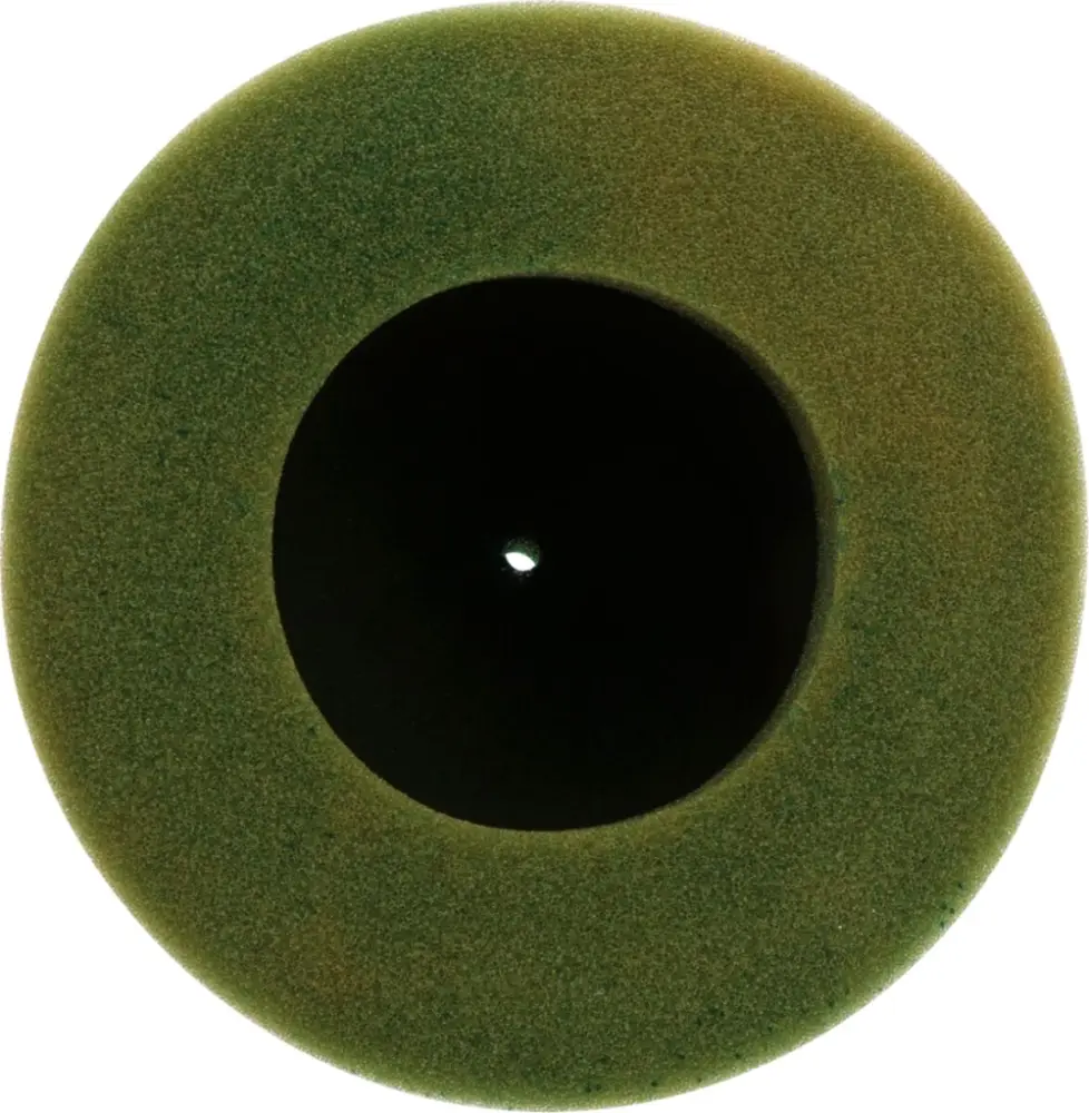 TWIN AIR - FILTER AIR PRE-OILED - 10110573