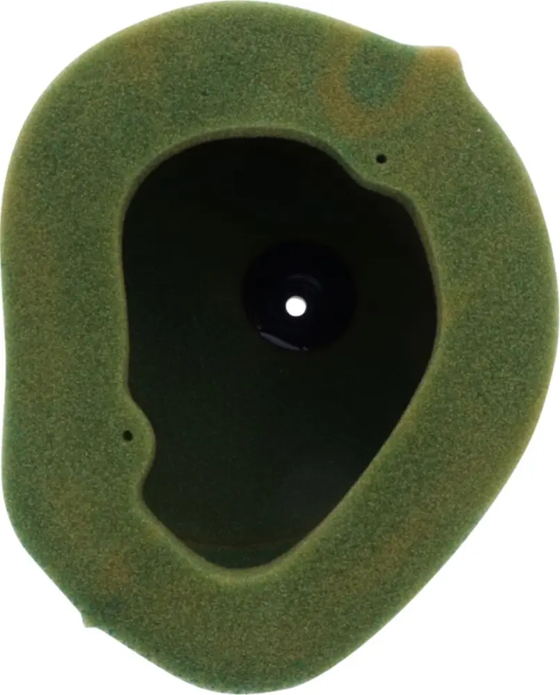 TWIN AIR - FILTER AIR PRE-OILED - 10110585