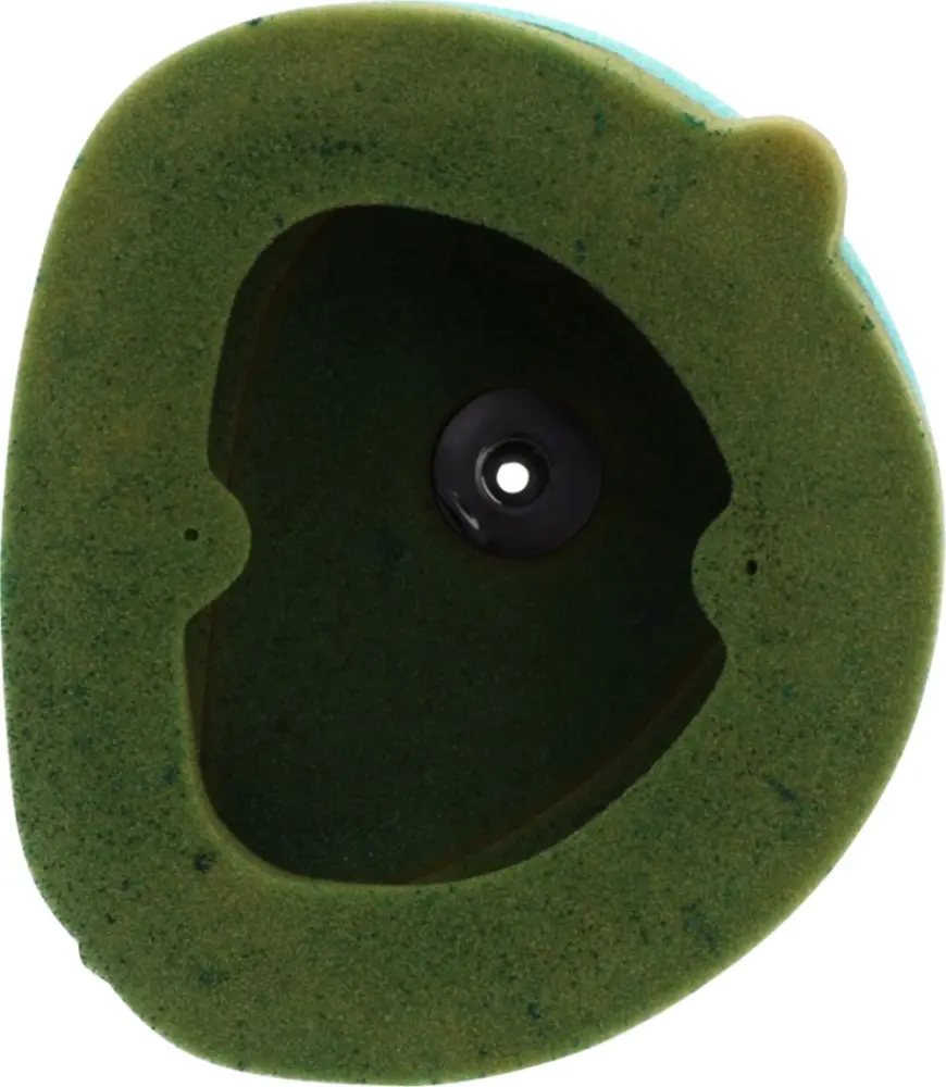 TWIN AIR - FILTER AIR PRE-OILED - 10110589