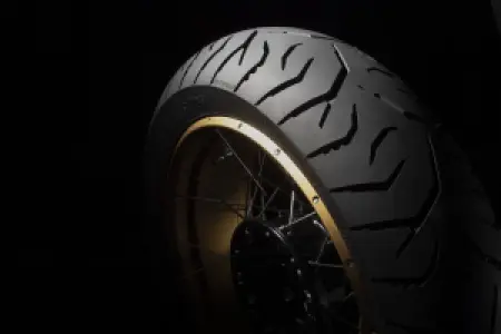 DUNLOP - TRAILMAX MERIDIAN R 140/80R17  - 03170753