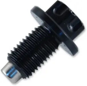 PSR - DRAIN PLUG 8X1.25X12 BLK - 09200097
