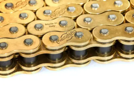 REGINA - CHAIN 520HPE GG 130RS - 12240250