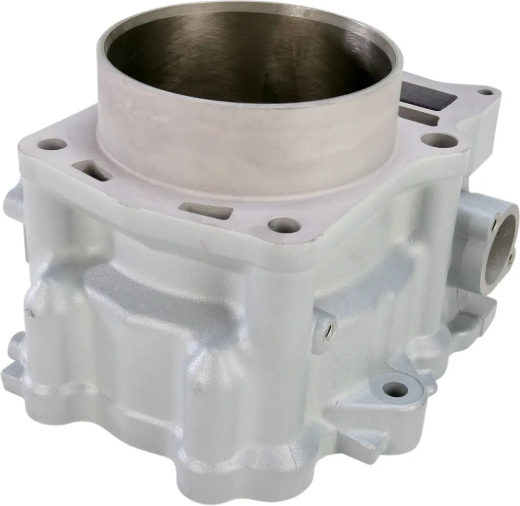 CYLINDER WORKS - CYLINDER STD RPTR 700 - 09310395