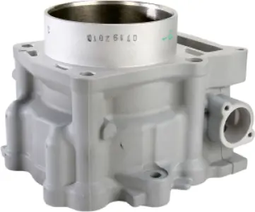 CYLINDER WORKS - CYLINDER STD RHINO 700 - 09310397