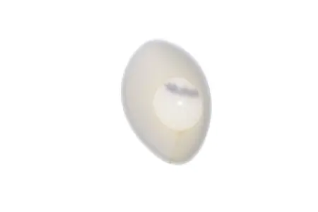 TWIN AIR - FILTER DUST CVR YZ85 - 10110449