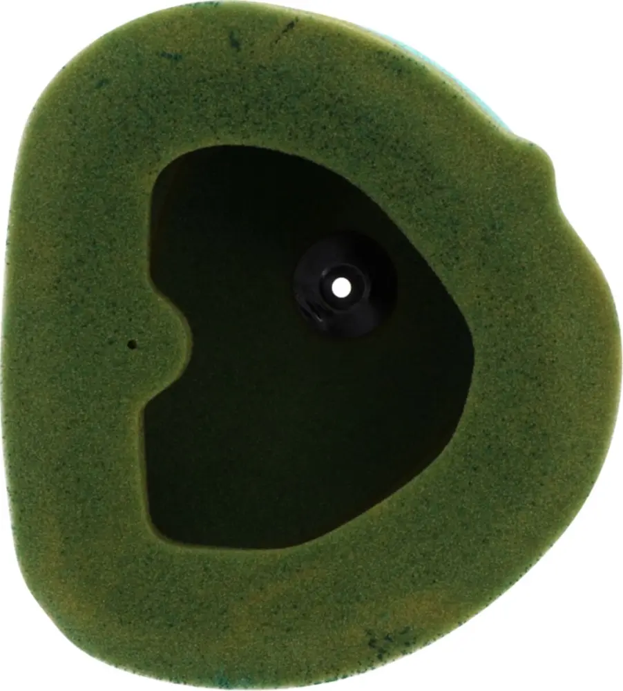 TWIN AIR - FILTER AIR PRE-OILED - 10110570