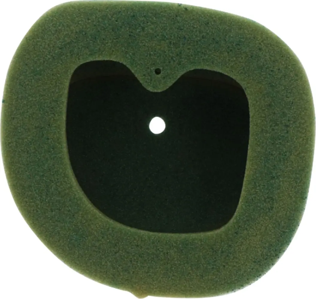 TWIN AIR - FILTER AIR PRE-OILED - 10110580