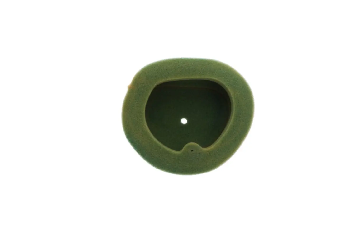 TWIN AIR - AIR FILTER PRE OILED - 10111914