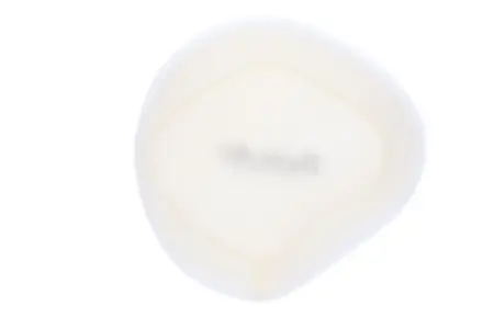 TWIN AIR - FILTER DUST COVER DUCATI DESMO - 10115074