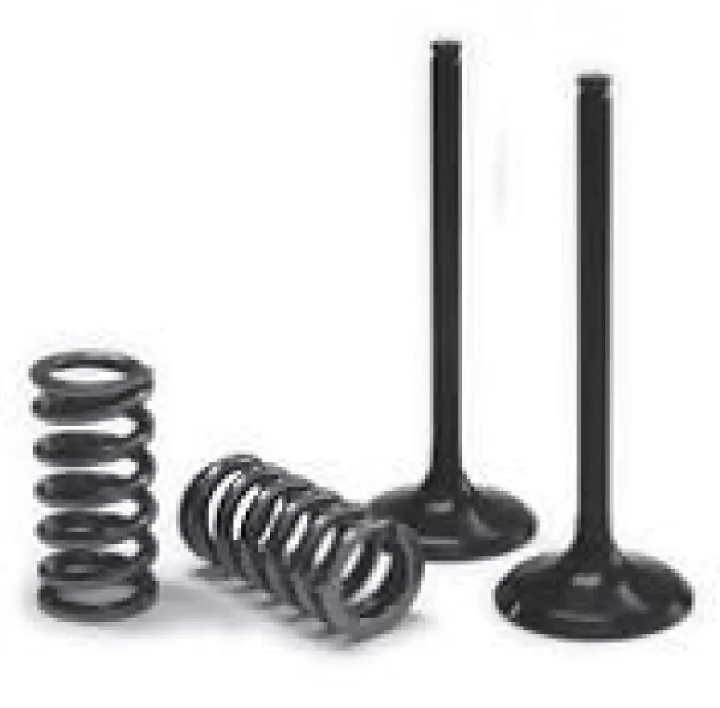 PROX - VALVE IN/SPRING KIT SX-F - 09262714