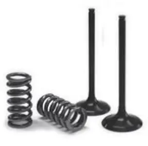 PROX - VALVE IN/SPRING KIT SX-F - 09262714