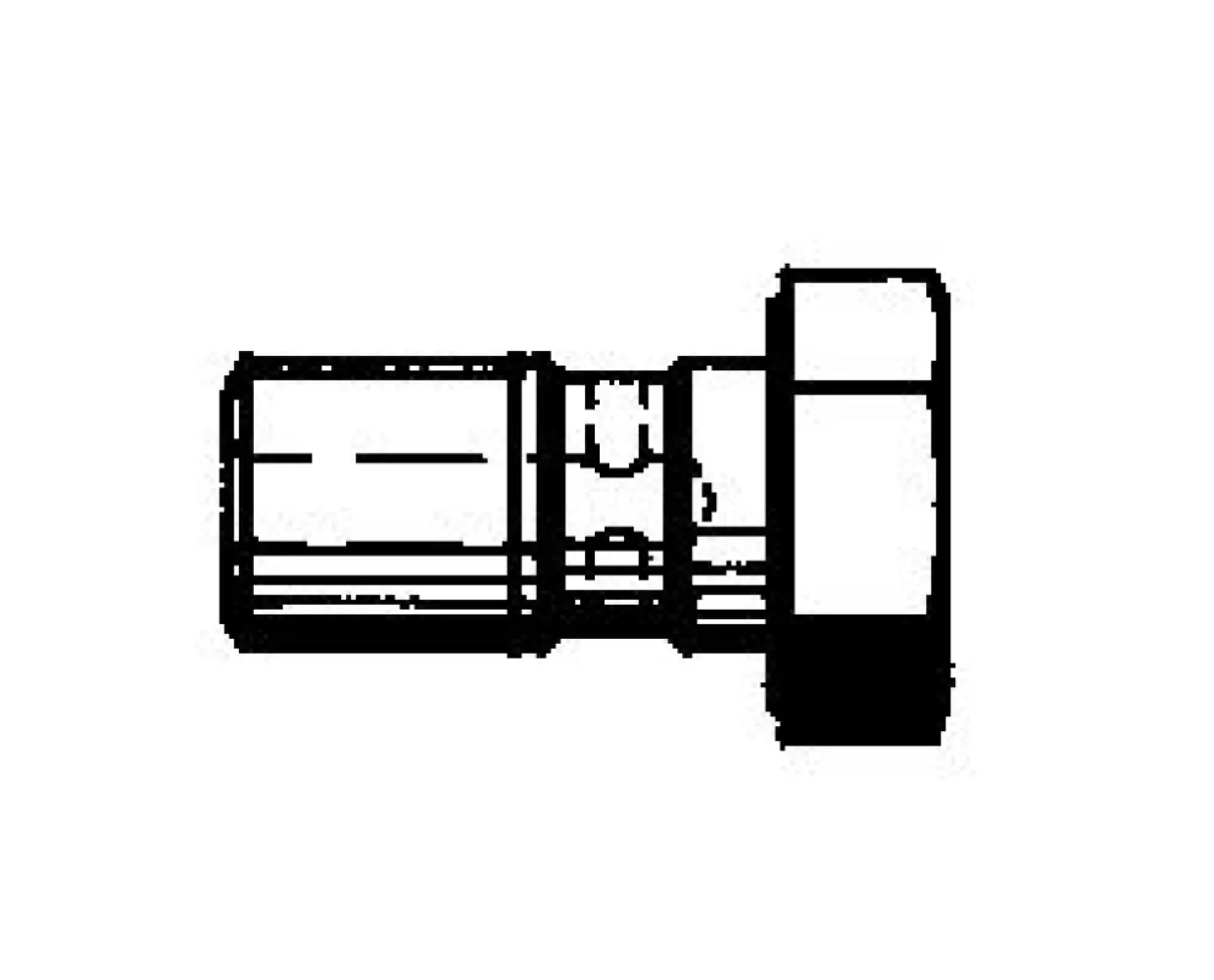 TRW - BANJO BOLT BLK M10X1 25 - 17412430