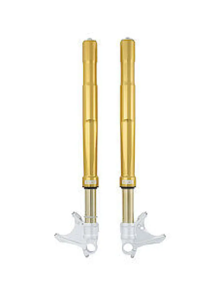 OHLINS - FORK BMW S/M1000 RR FGRT200 FG - 04020009