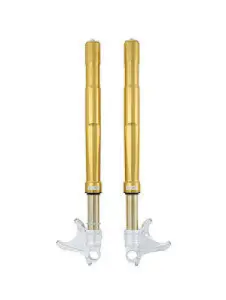 OHLINS - FORK BMW S/M1000 RR FGRT200 FG - 04020009
