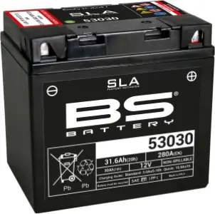 BS BATTERY - BATTERY BS 53030 SLA - 21130617