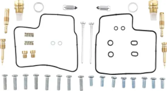 PARTS UNLIMITED - CARB KIT HONDA VT750 - 10031298
