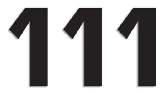 BLACKBIRD RACING - NUMBER #1 16X7.5CM BK - 43100759