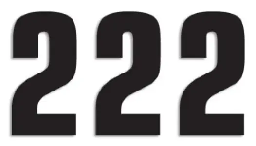 BLACKBIRD RACING - NUMBER #2 16X7.5CM BK - 43100760